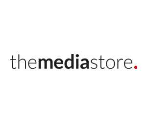 Logo-The Media Store
